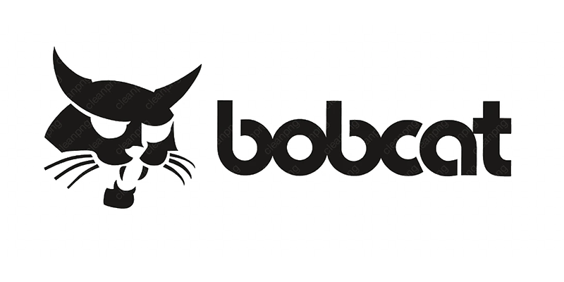 Bobcat